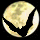 Guild Flag